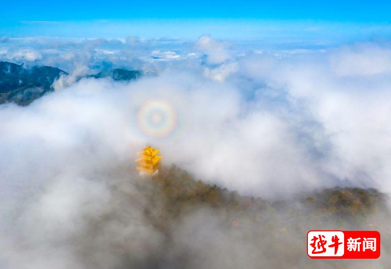 观日出、看云海!绍兴这地方吸引了一大波游客